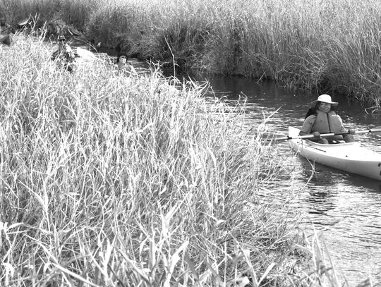 Okefenokee part of fall paddle series