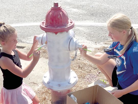 Patterson’s fire hydrants transformed into works of art in painting project