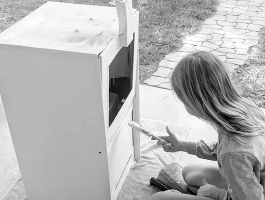Pierce Girl Scout Kate Joiner creates lending library at Laura Walker park