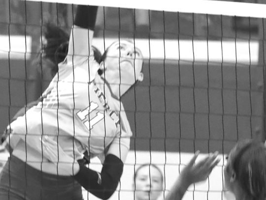 Pierce volleyball wins 3 of 4 matches