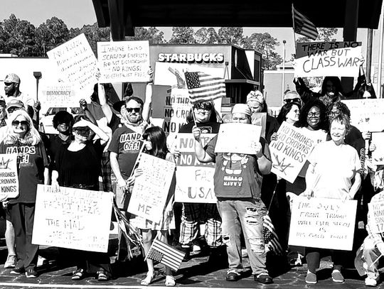 Satilla Democrats hold No Kings rally