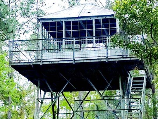 SFW reopens fire tower Tue.