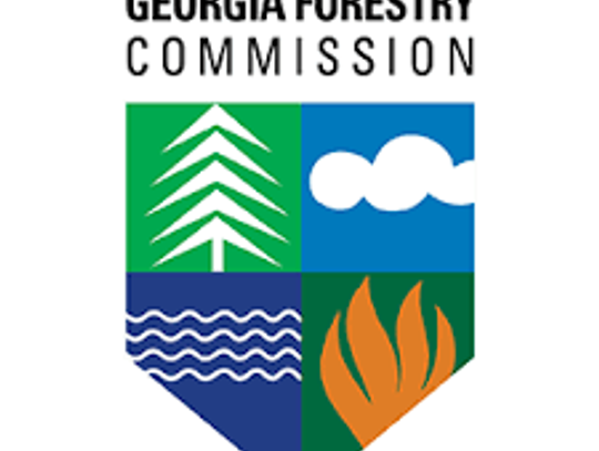 State forester issues burn ban for South Georgia