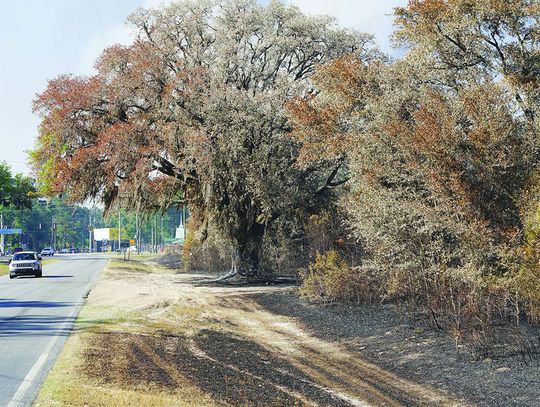 The Brantley County Fire