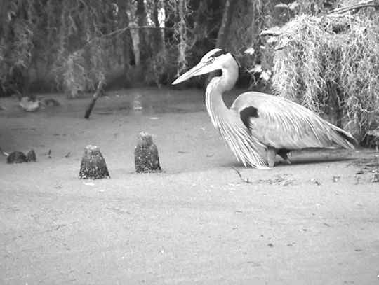 Third photo will hang in Governor’s mansion