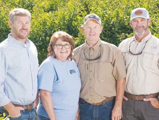 Thomas family manages blueberry farm