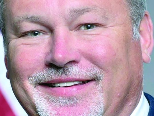 TREES Act to help with timber tax loss