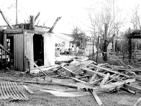 Turning a 2-story treehouse into a shed