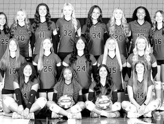 Volleyball falls to Glynn Academy, Camden