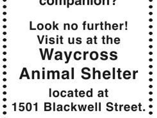 W - 1 x 4.5 Waycross Animal Shelter .pdf
