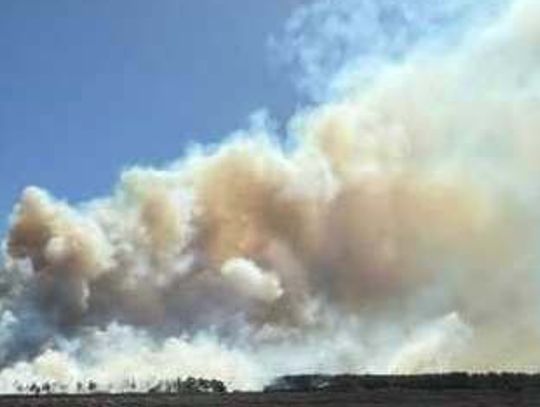 Wildfire breaks out in western Pierce County
