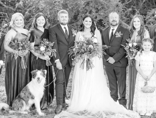 ‘Woof now or forever hold your peace’: