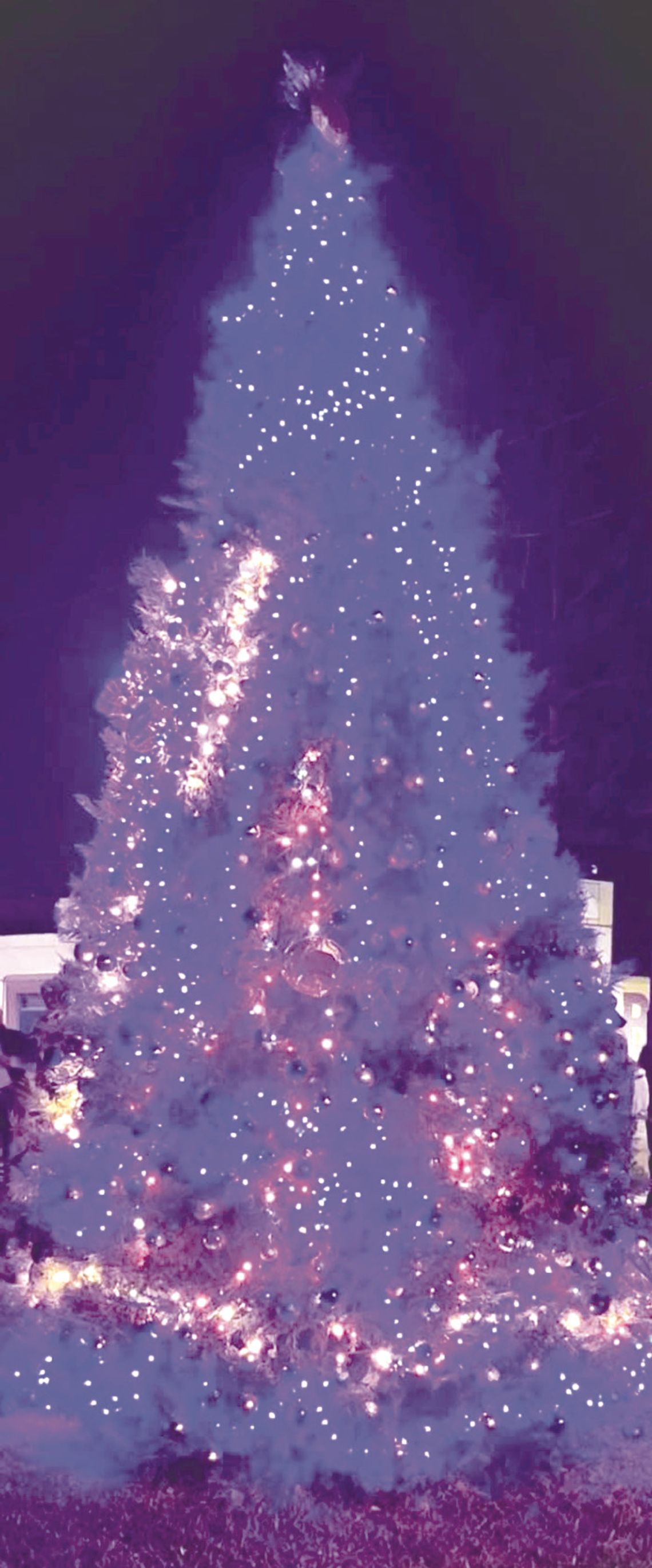 Annual tree lighting Annual tree lighting