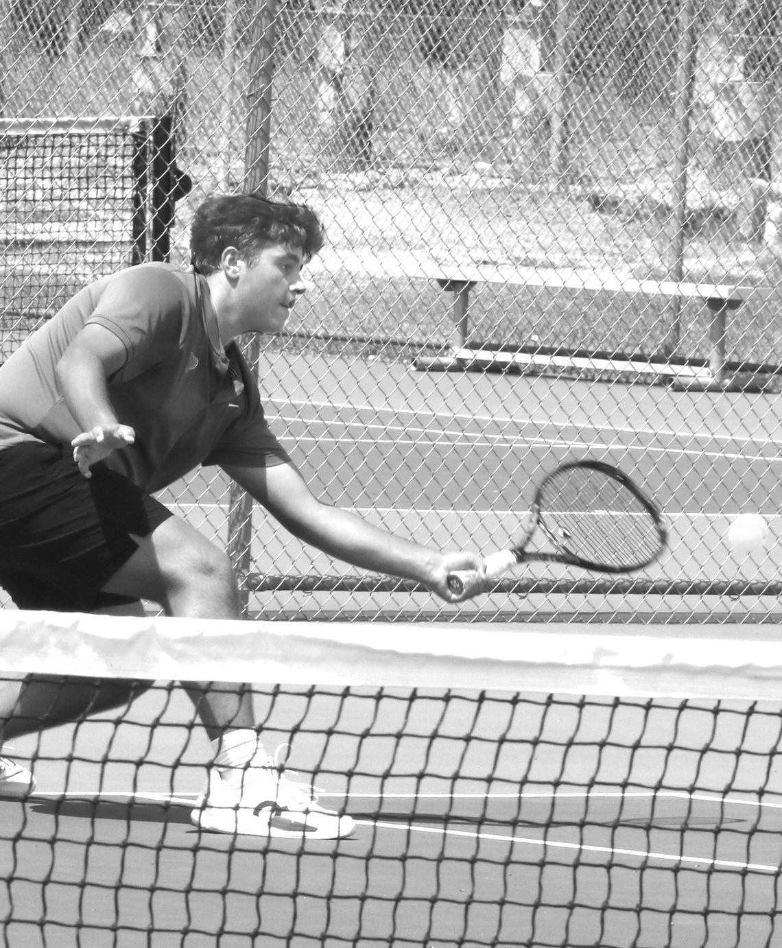 Bears are ‘King’ of AA tennis courts