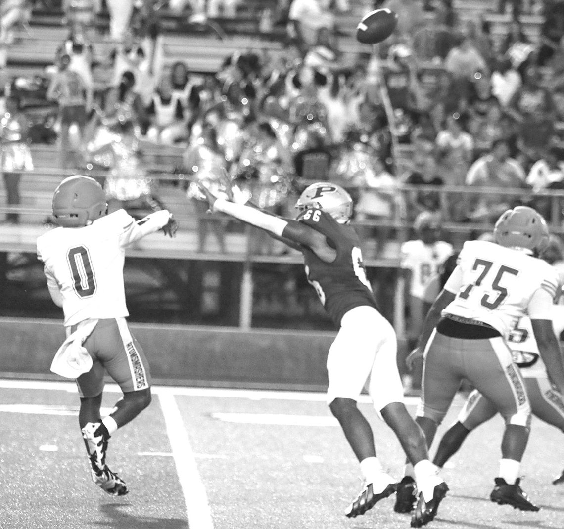 Bears maul Johnson-Savannah Bears maul Johnson-Savannah