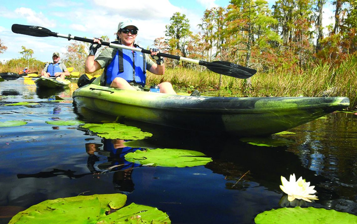 Bills target mining near Okefenokee