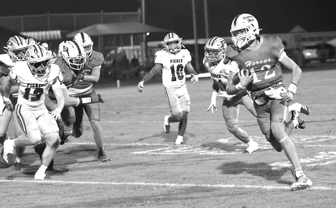 Brantley County falls to Class AA No. 2 Bears