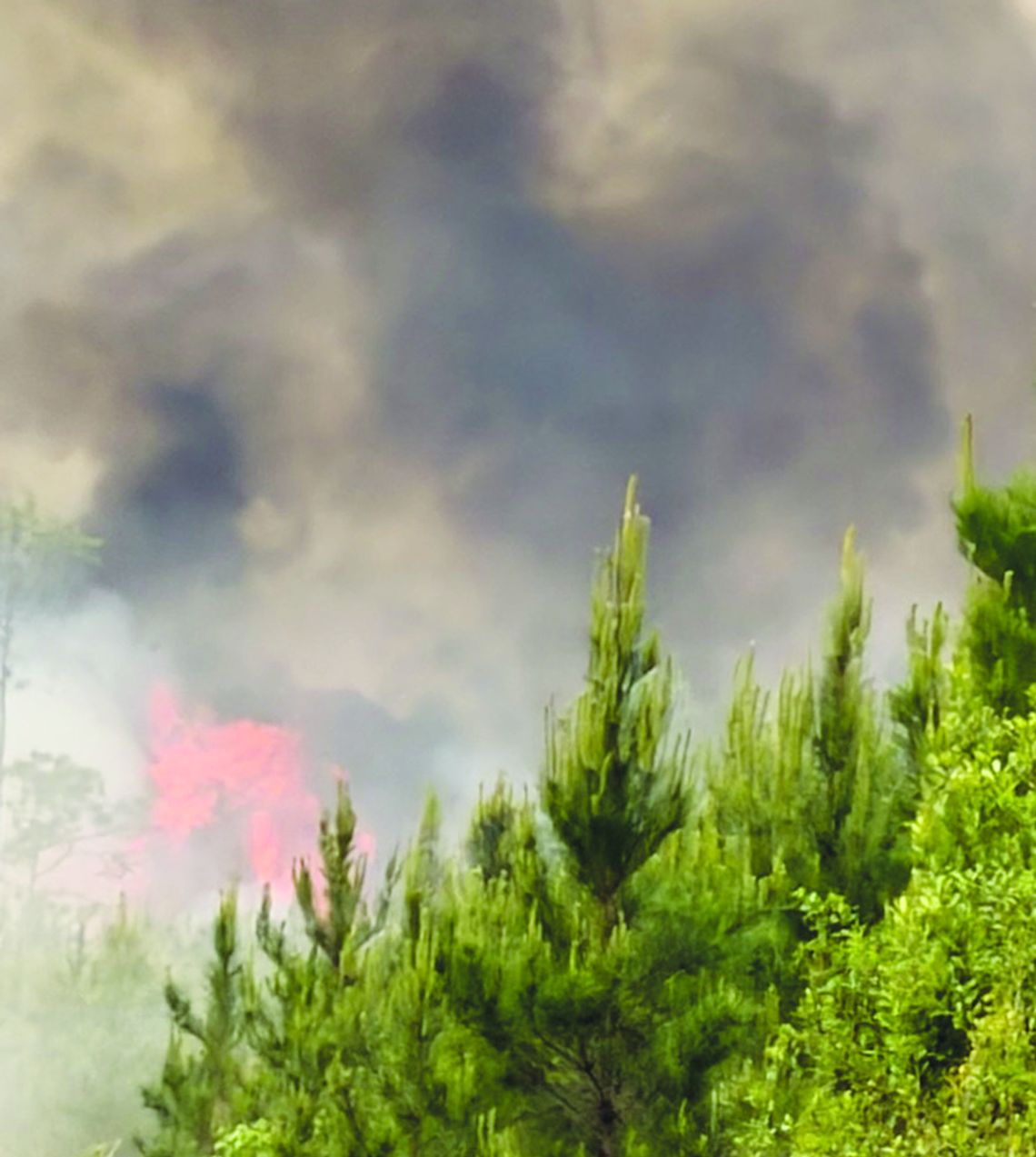 ‘Dynamic’ fire scarring eastern Brantley