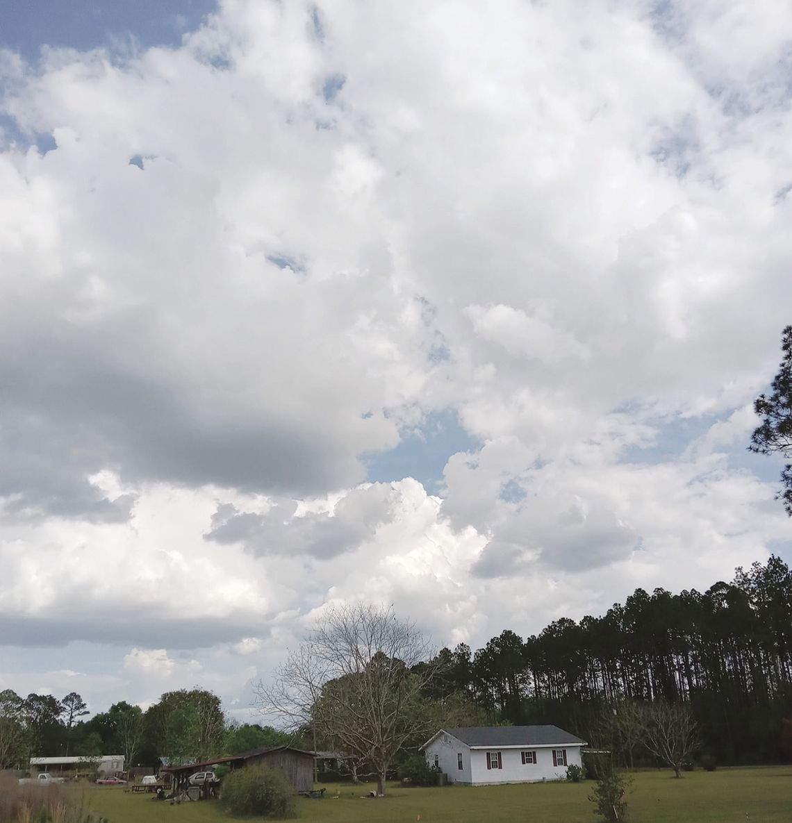 Easter clouds form animals Easter clouds form animals