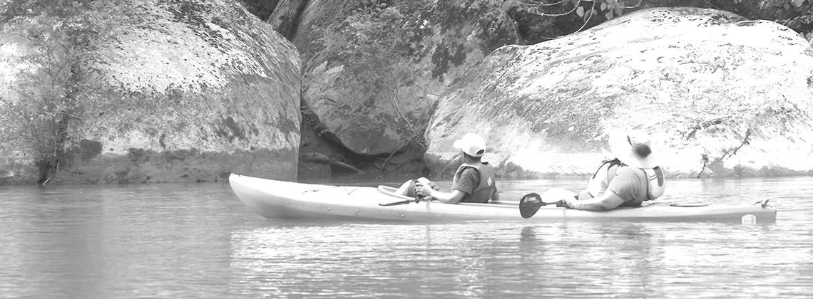 Explore Ga. rivers through Ga. Rivers
