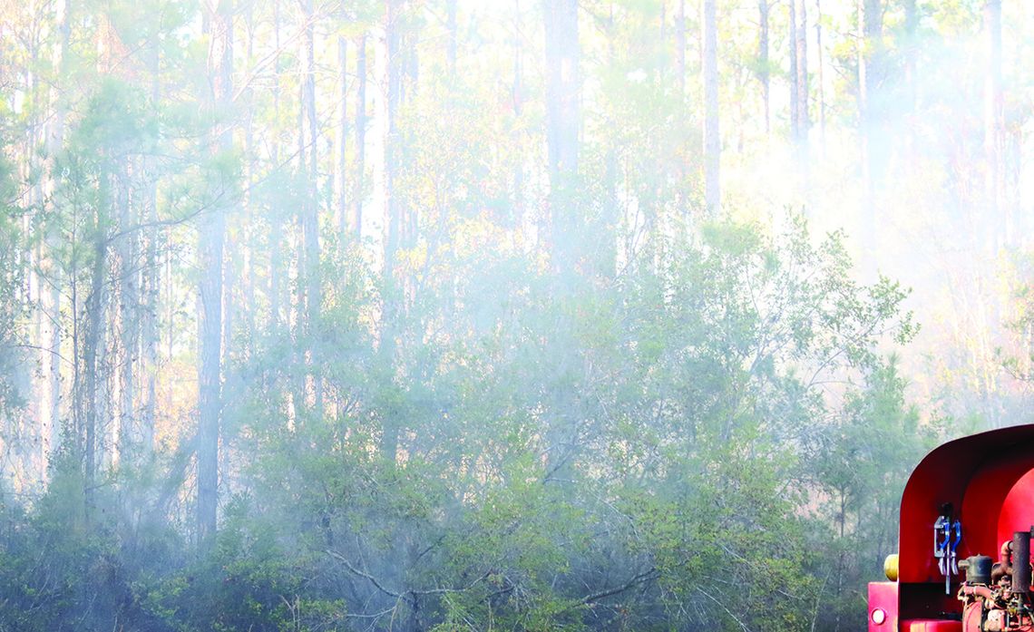 Ga. Forestry contains suspicious fires