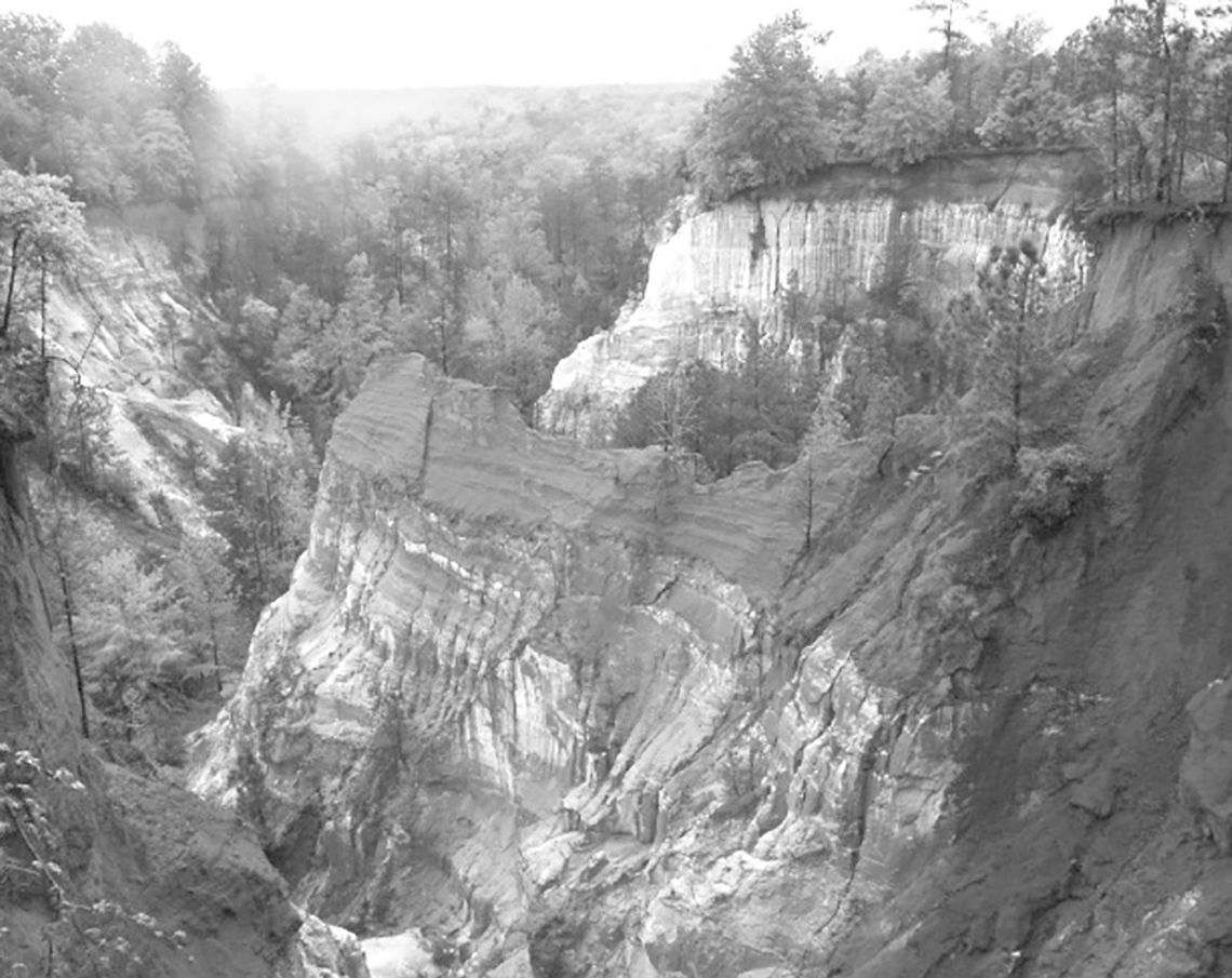 ‘Great Blue Heron’ headed to Governor’s office