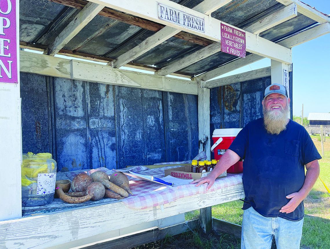Griffin-Schuman Family Farm Stand sells pesticide-free veggies, fruit Griffin-Schuman Family Farm Stand sells pesticide-free veggies, fruit