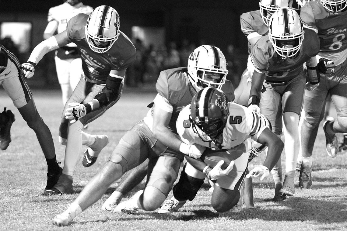 Herons fall in finale to Bacon County Herons fall in finale to Bacon County