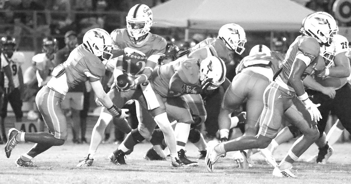 Herons fall in season opener to Charlton County