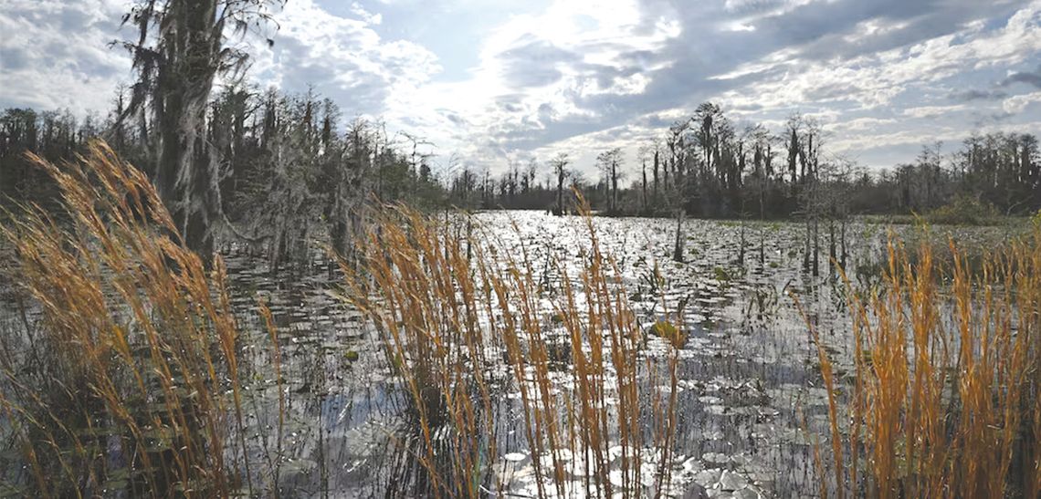 Historic land deal halts mining plan