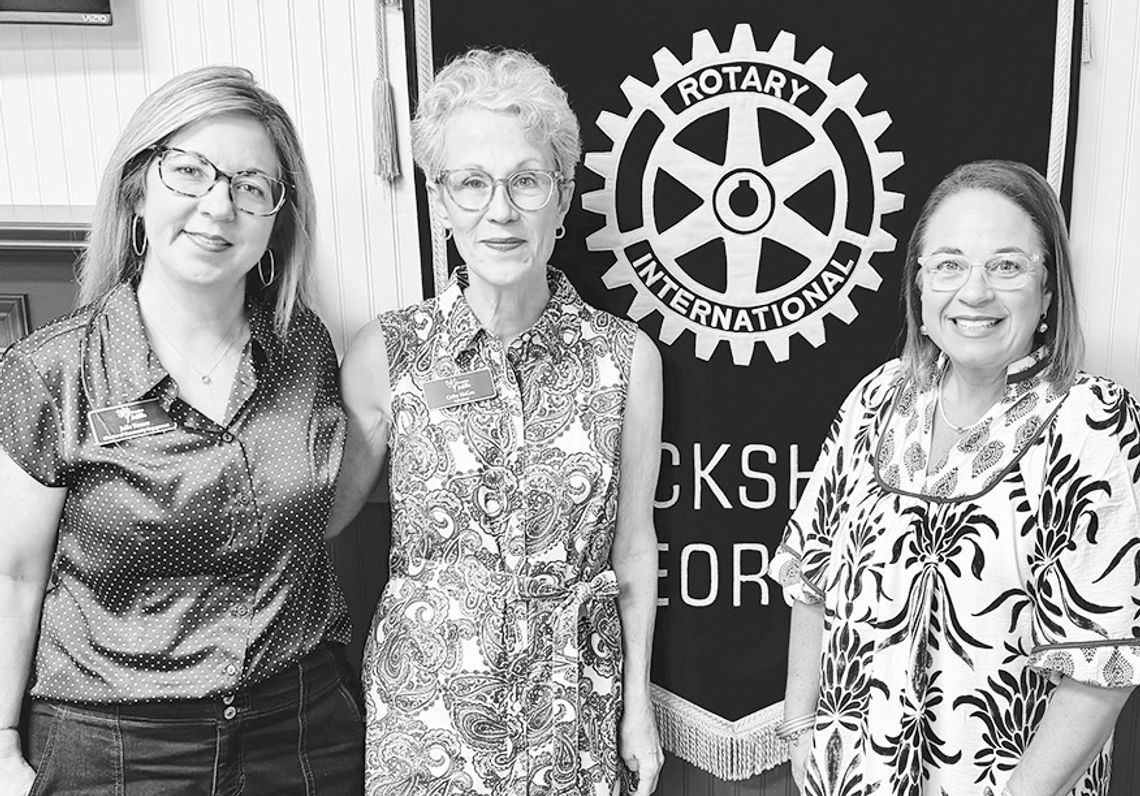 Hospice Satilla is topic at Rotary