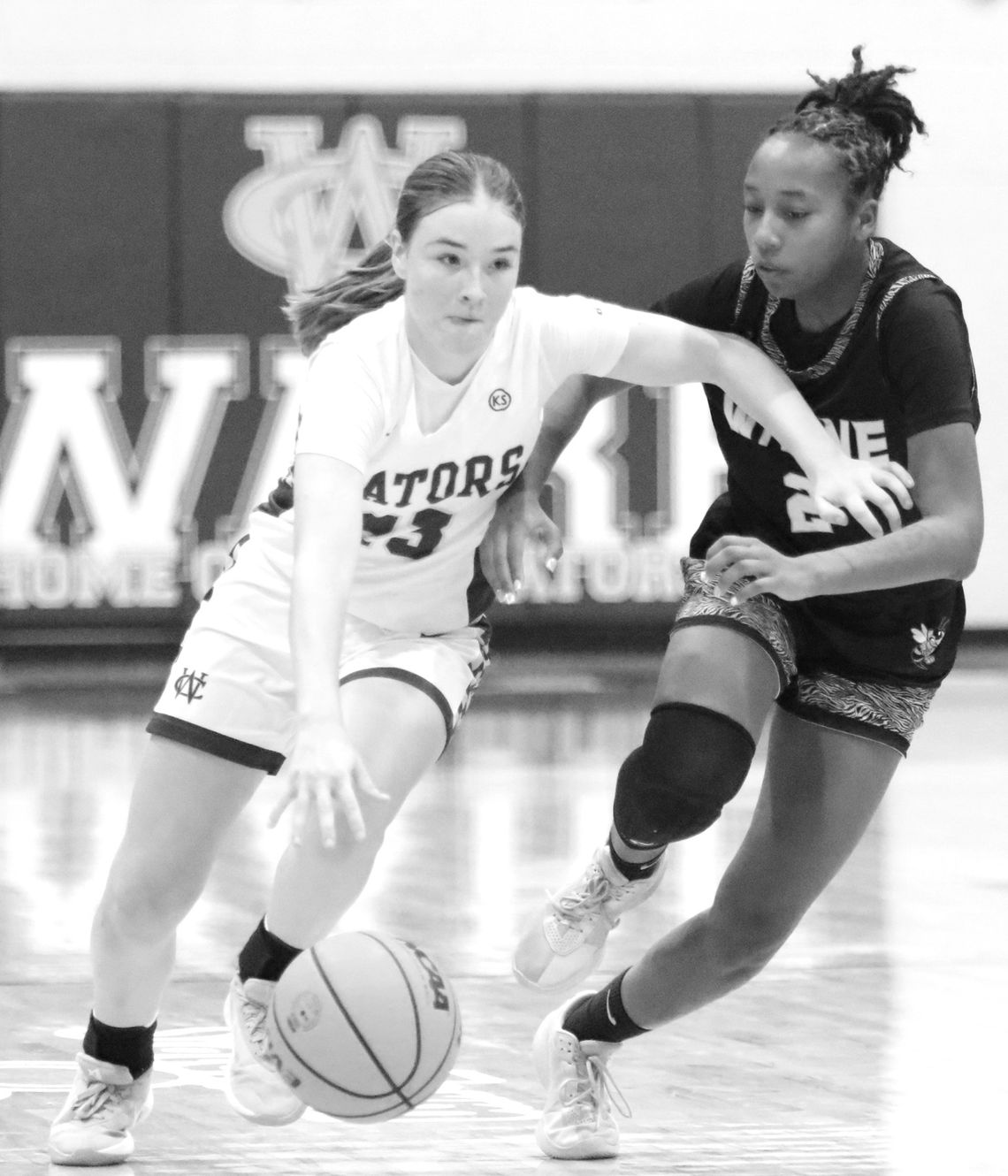 Lady Gators cop third-place finish at region tourney Lady Gators cop third-place finish at region tourney