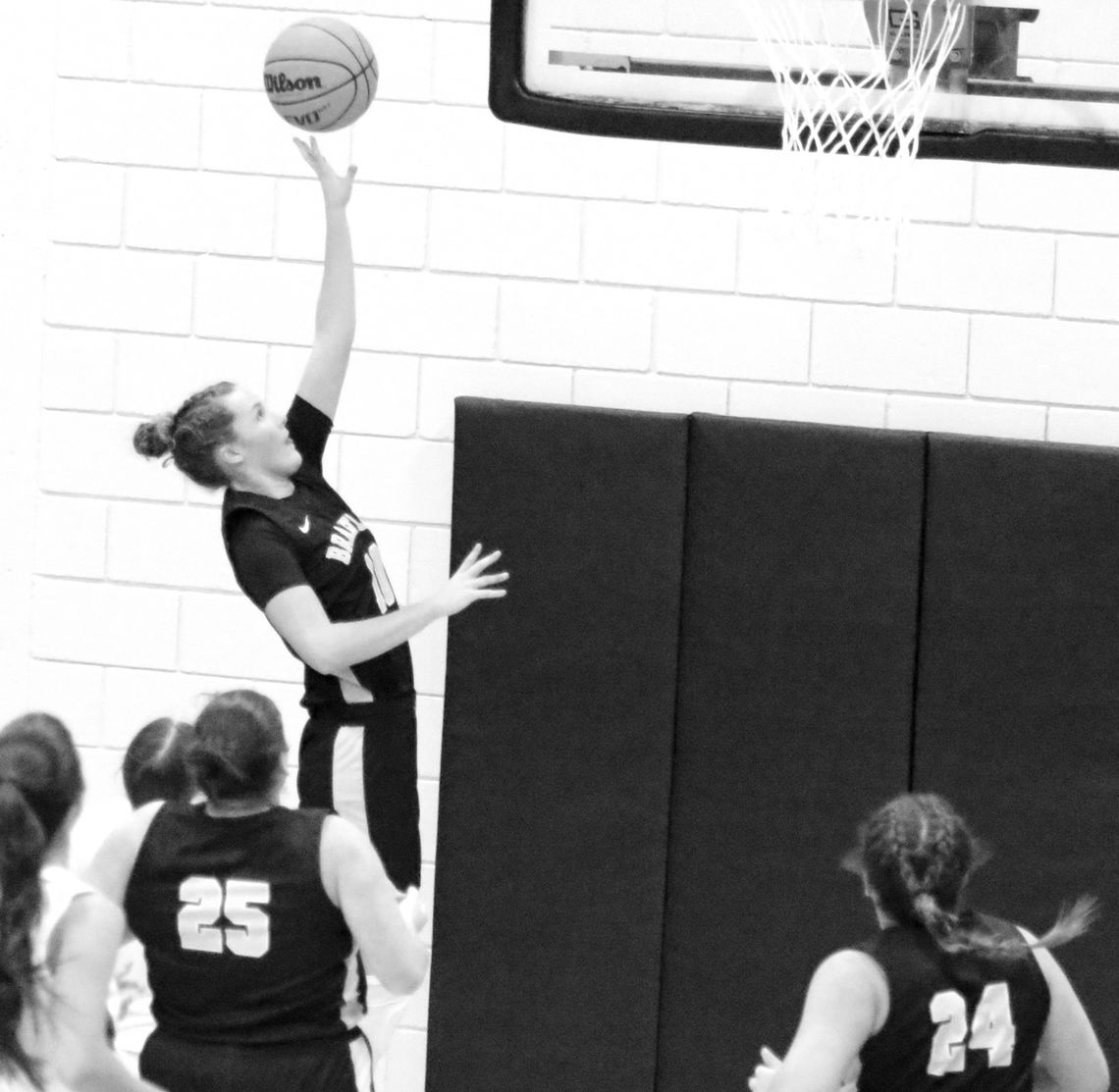 Lady Herons’ winning streak at four after beating Wayne, PCHS Lady Herons’ winning streak at four after beating Wayne, PCHS