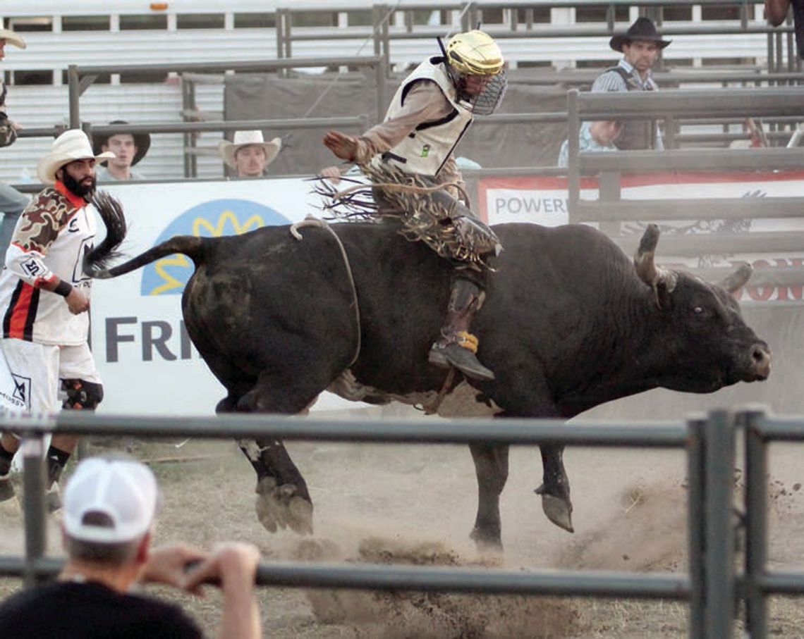 More from the Mossy Pond Rodeo Showdown