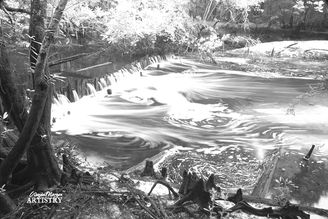 My favorite subject to photograph is Zirkle