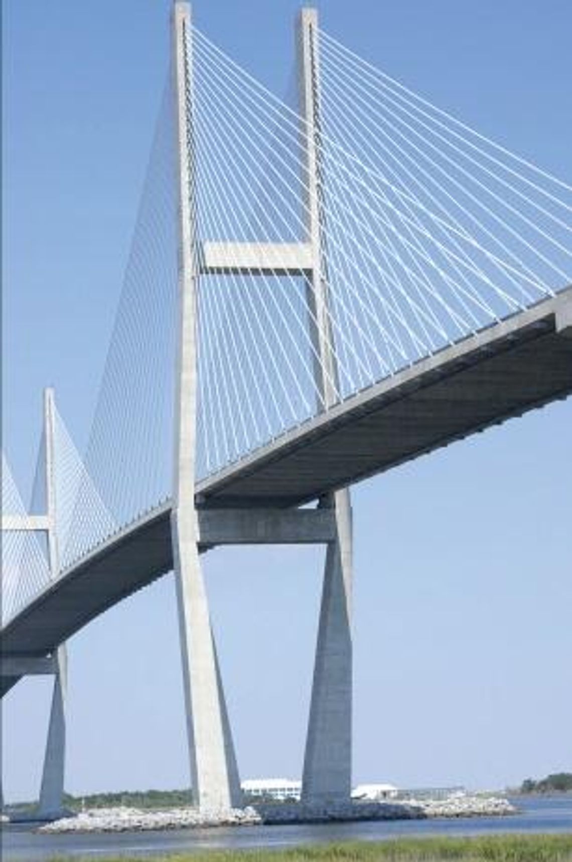 Nahunta woman pushing for Sydney Lanier Bridge barriers