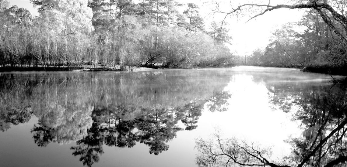 No chicken houses on the Satilla River banks