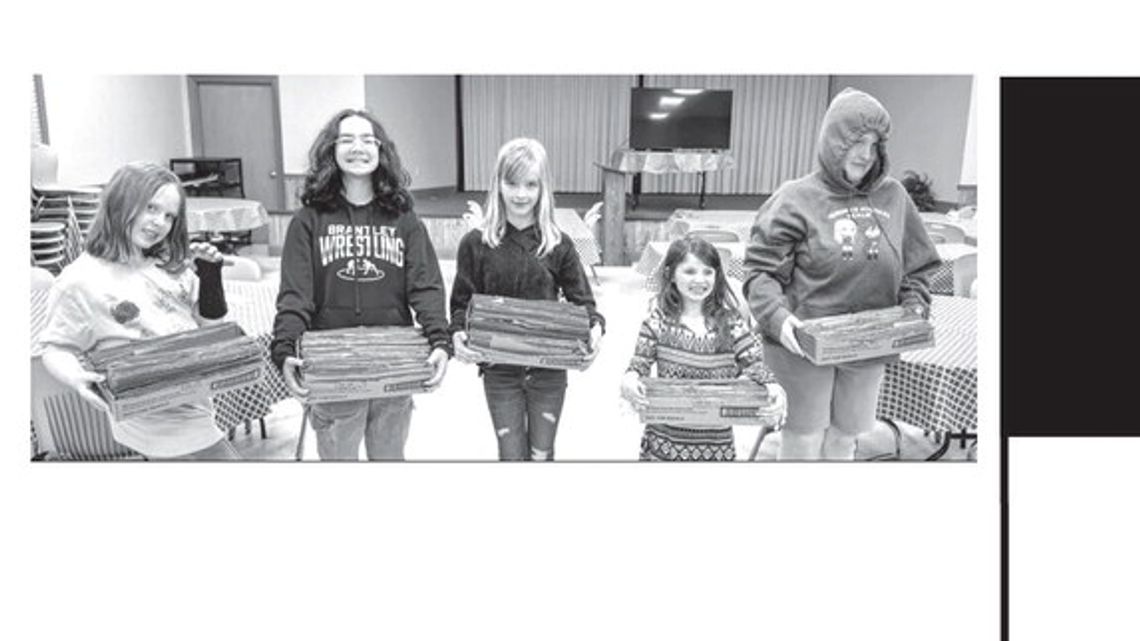 Pierce Co. Girl Scouts recycle cookie boxes for animal shelter