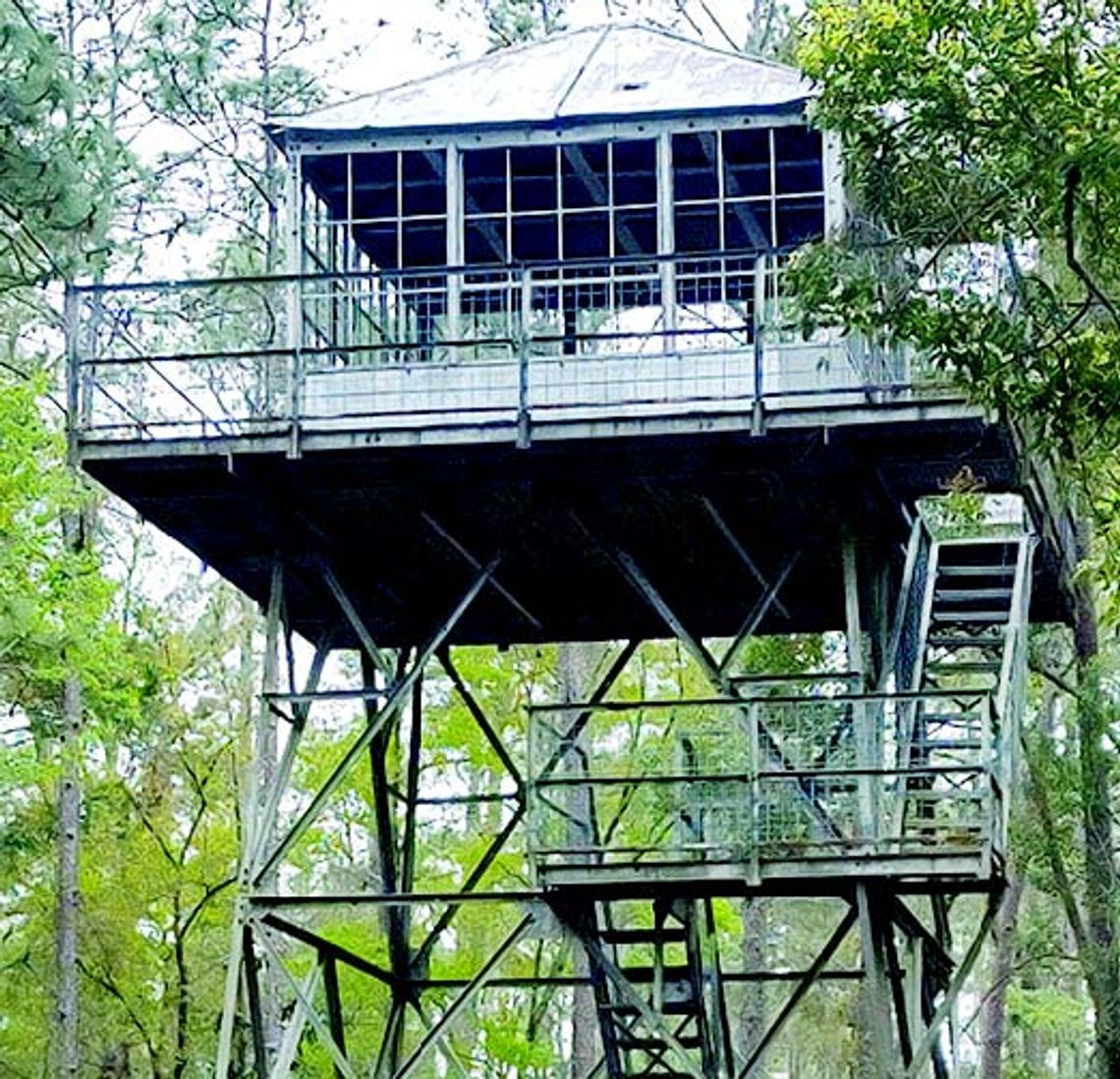 SFW reopens fire tower Tue.
