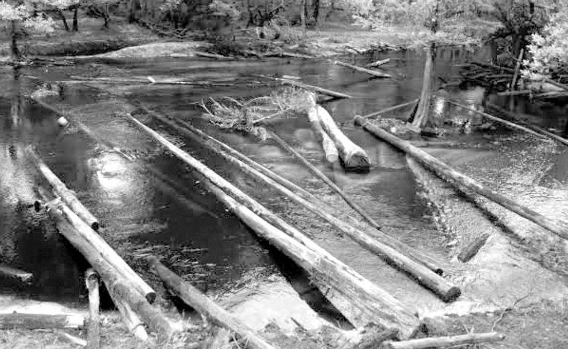 Someone is harvesting logs from the Little Satilla