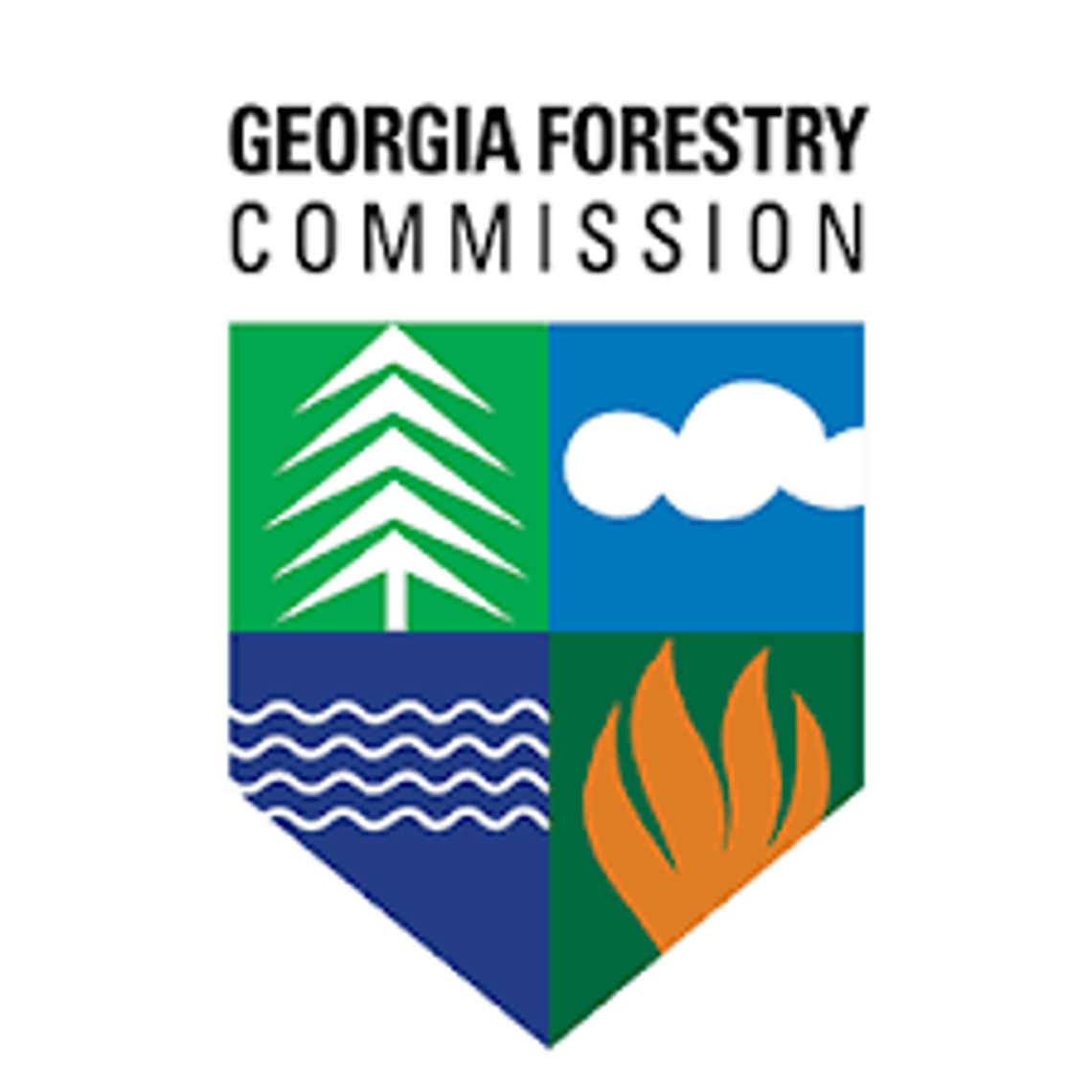 State forester issues burn ban for South Georgia