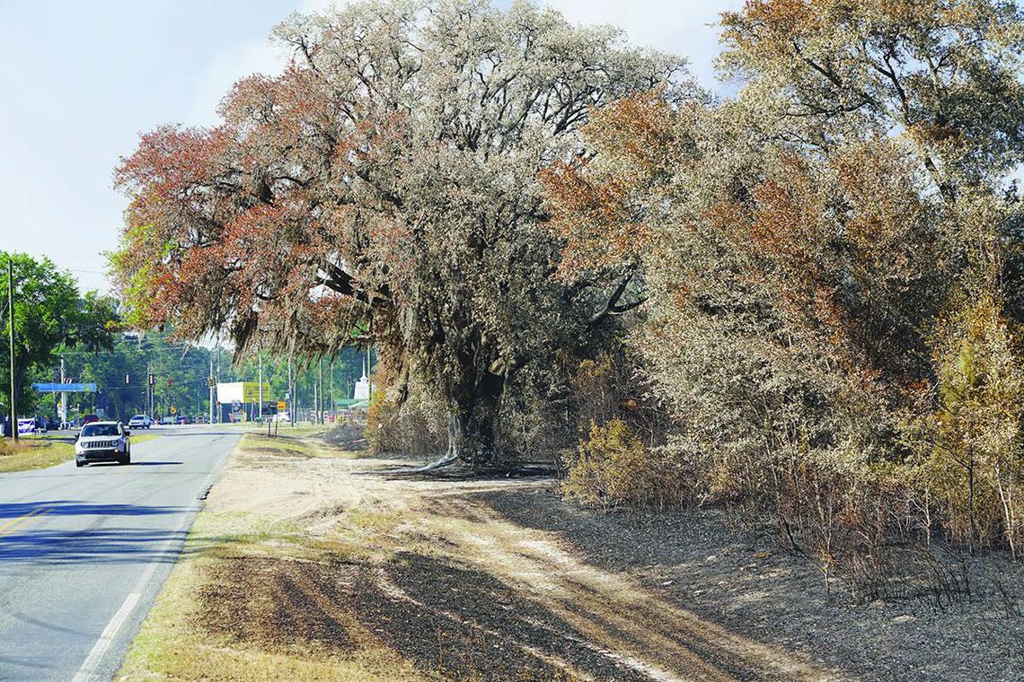 The Brantley County Fire