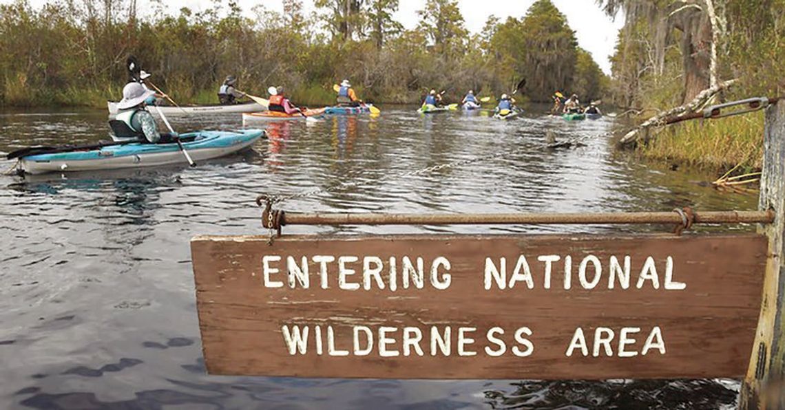 Two bills target mining near Okefenokee Swamp