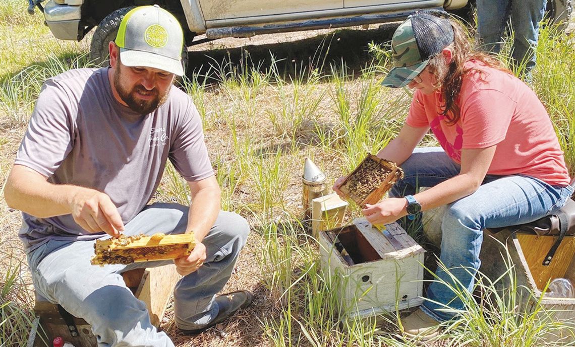 WCHS has national FFA winner