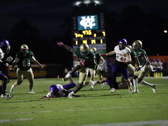 Gators VS. Hounds