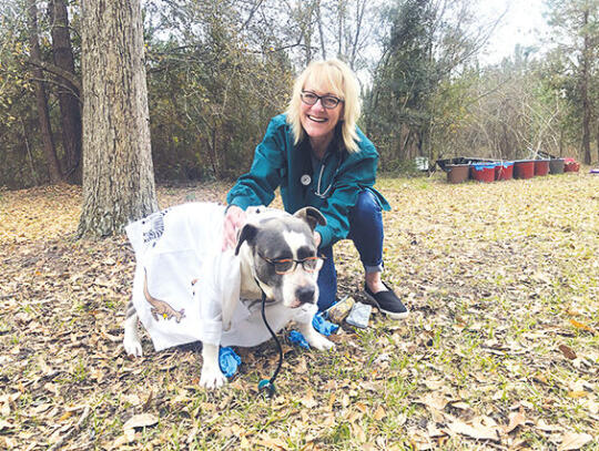 Pet Parent  Andrea DeLoach of Hacklebarney Community, Pierce County, Nurse Practitioner, loves her silver/white pit bull Colbalt and will accompany him to her Children’s Dog Show Saturday, Feb. 11 at Okefenokee Heritage Center. Colbalt is dressed in a Lab Tech coat like his master.