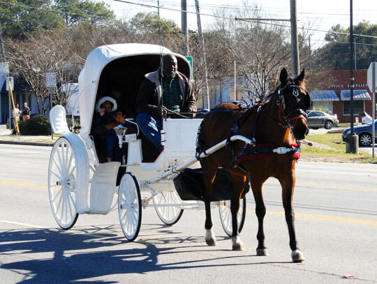 Bruce Washington and family of Giddy Up Carriage Rides had a horse and buggy in the parade.