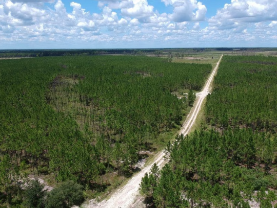 Okefenokee