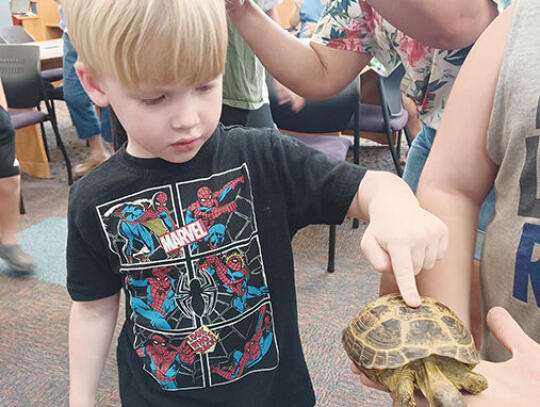 Liam O’Driscoll tests the toughness of a Greek tortoise’s shell.